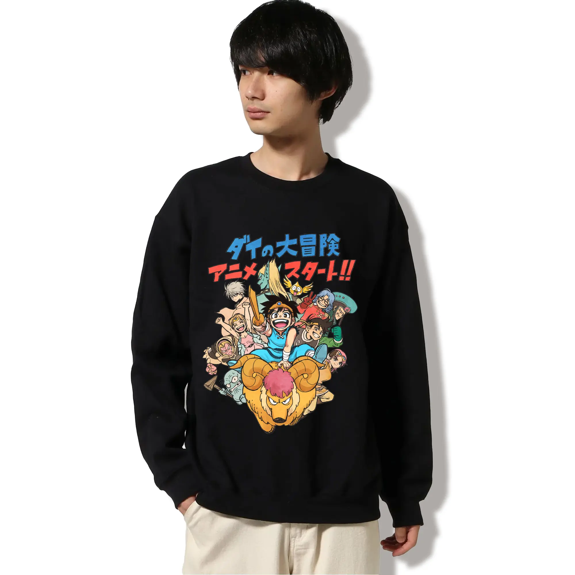 ドラゴンクエストダイの大冒険 アニメ スタート